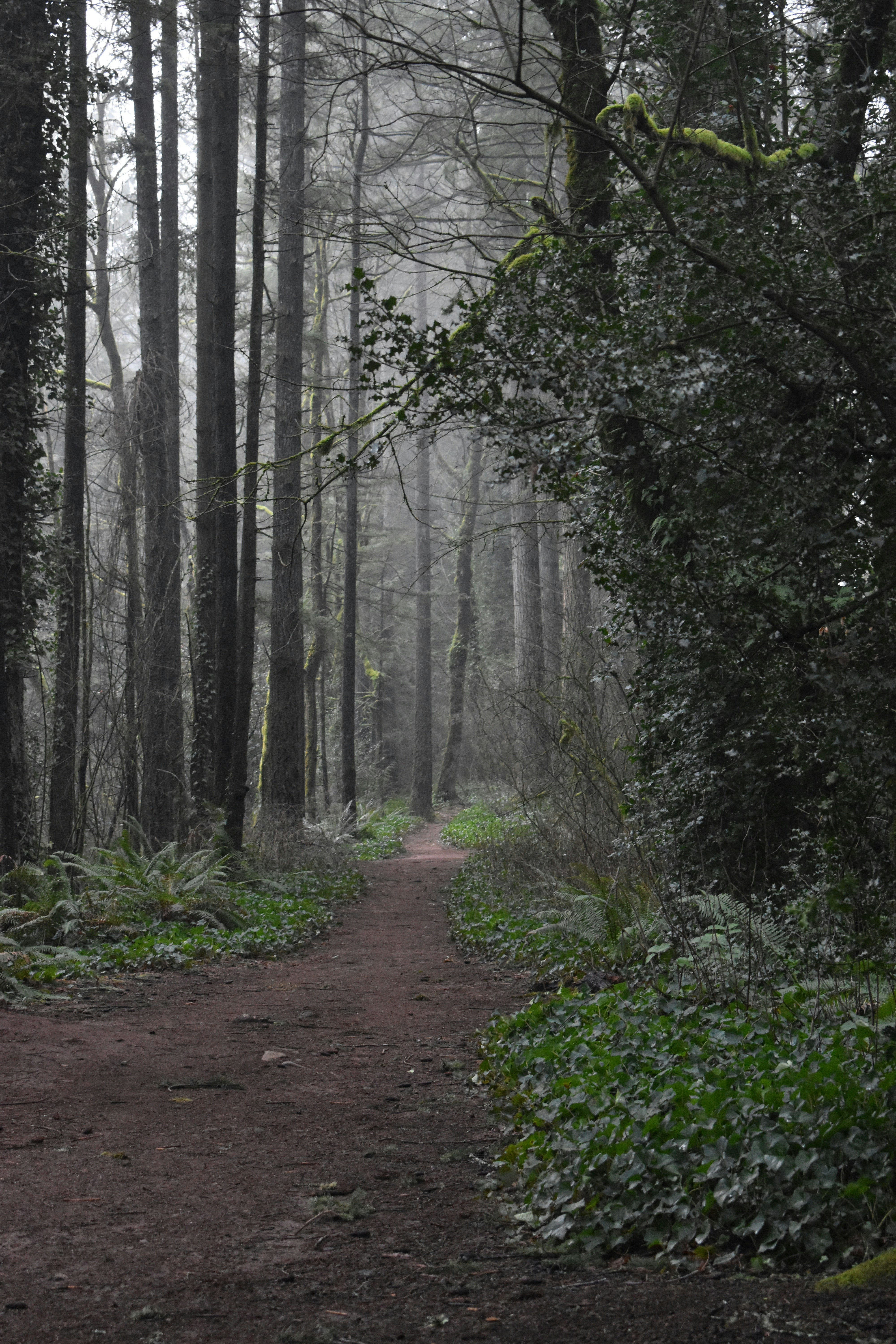 Photo by pictures102