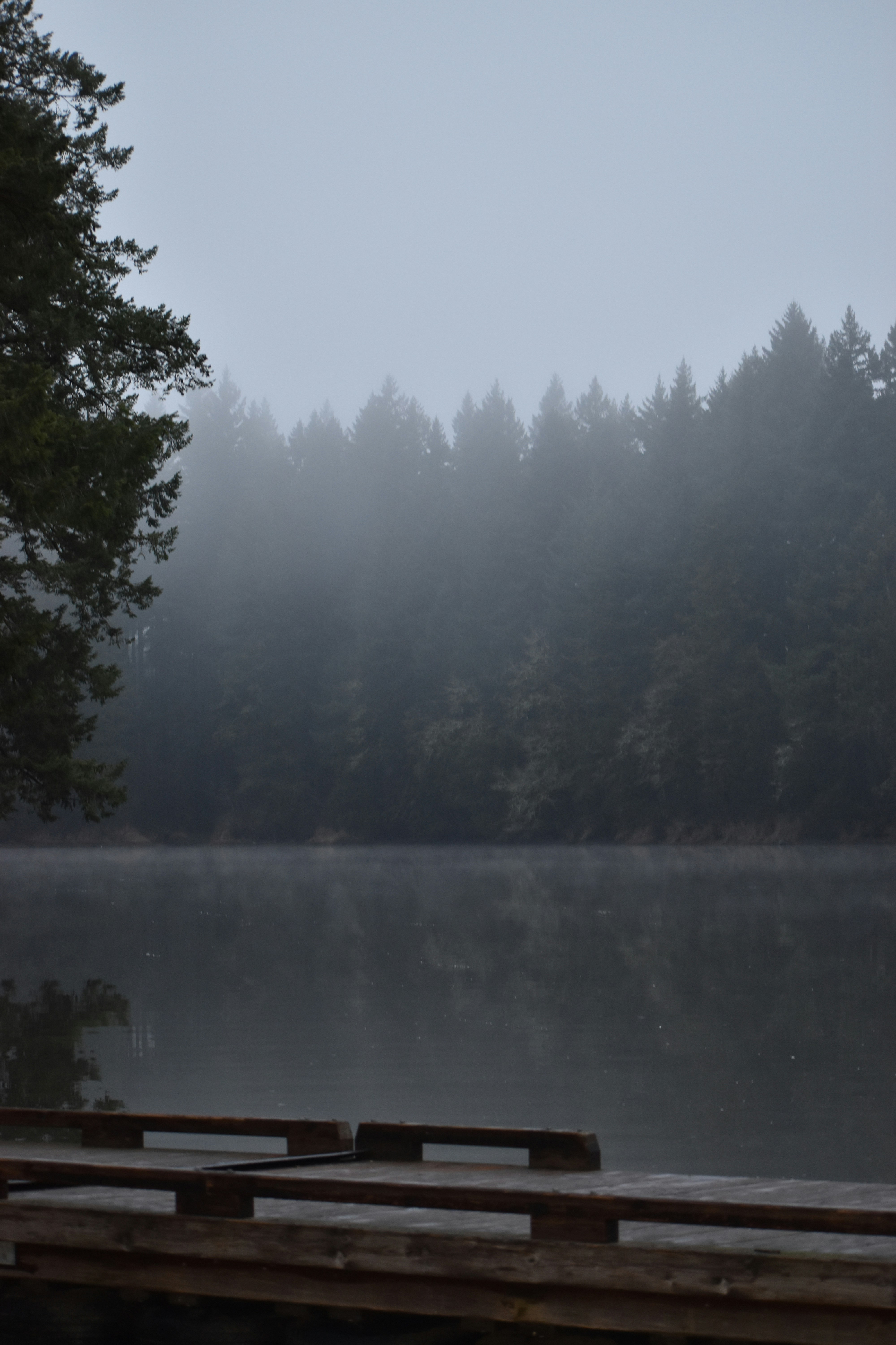 Photo by pictures102