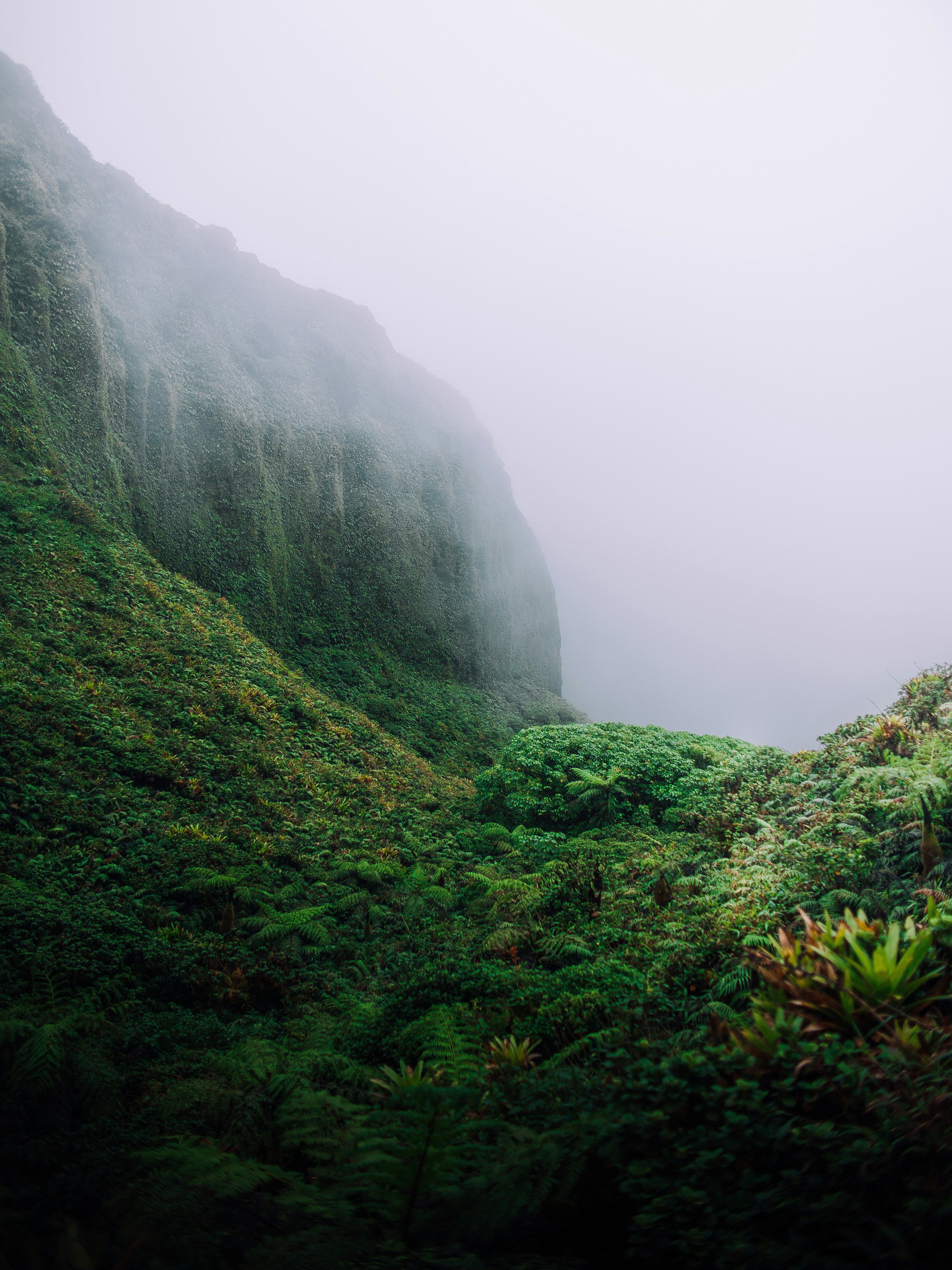 Photo by devonhwilson