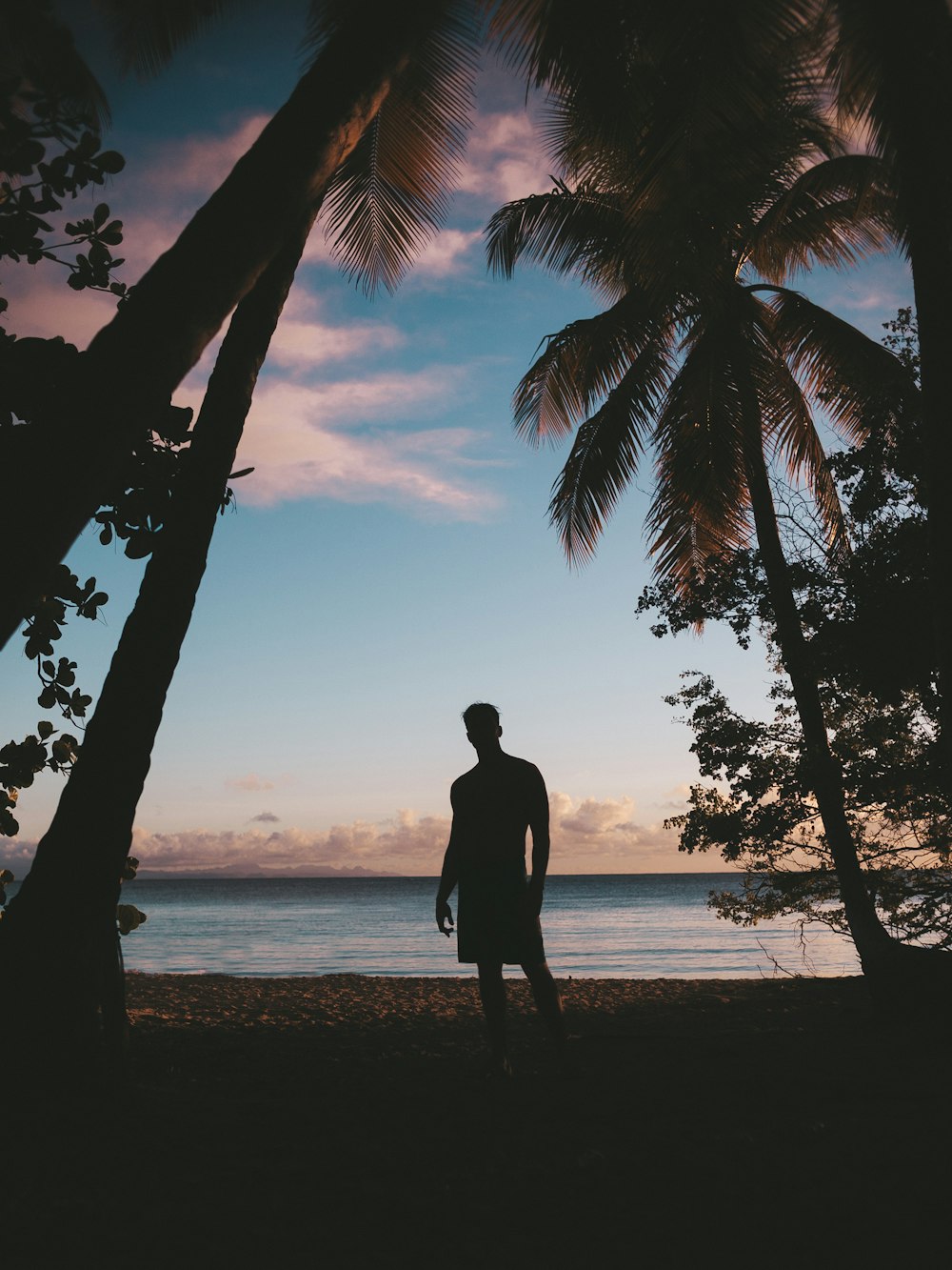 silhouette of person standing near ocean