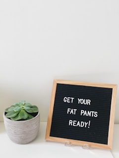 A letter board with a light wooden frame displays the phrase 'GET YOUR FAT PANTS READY!' in white letters. To the left of the board, there is a small potted succulent with green leaves in a textured gray pot. The objects are placed on a white surface against a plain white wall.