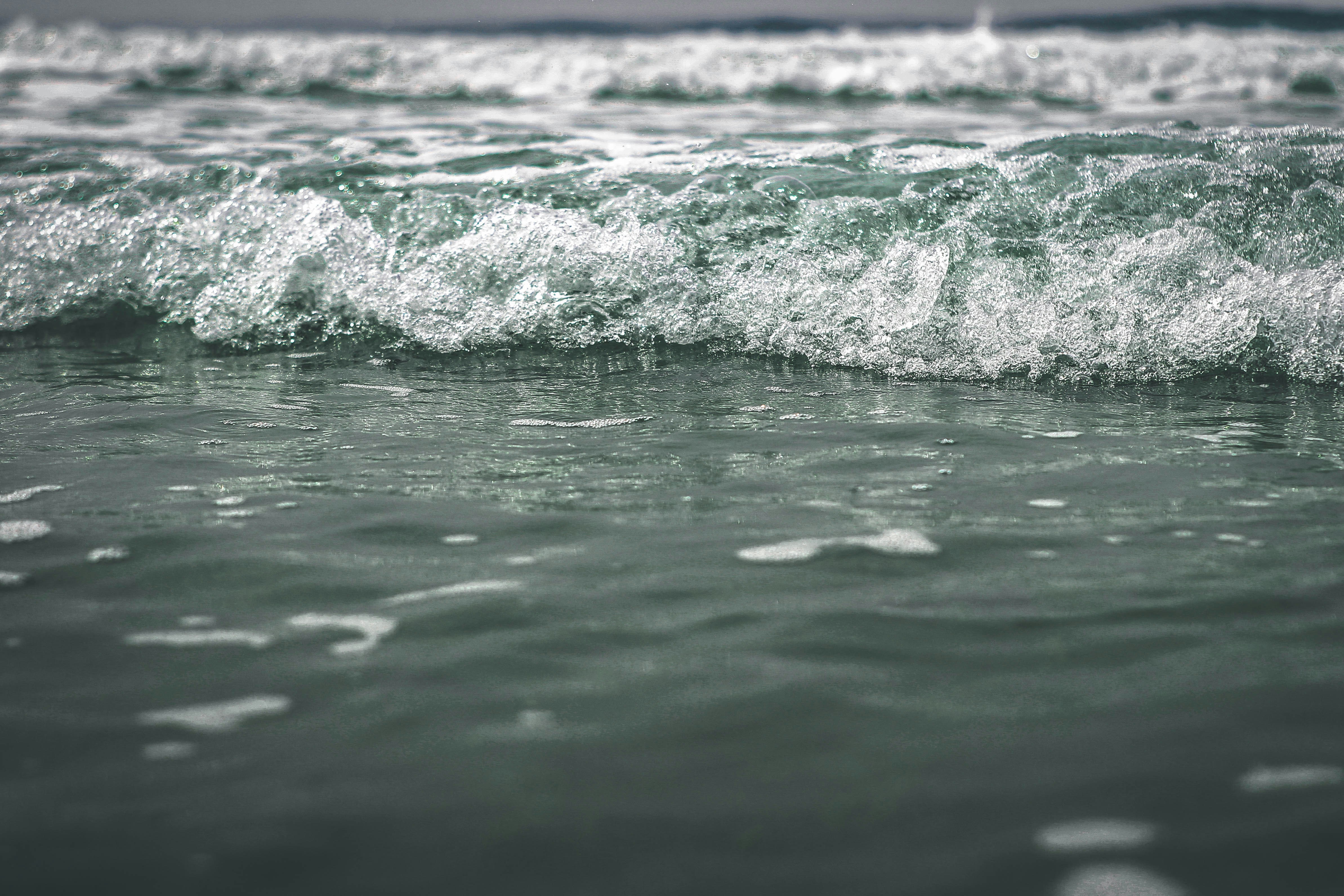 Photo by patrickassale