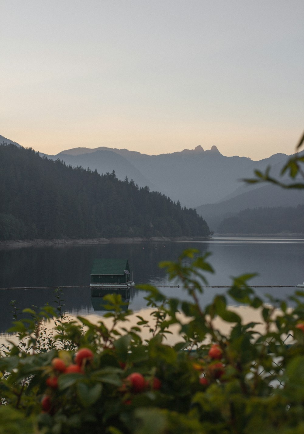 green shed on body of water near forest