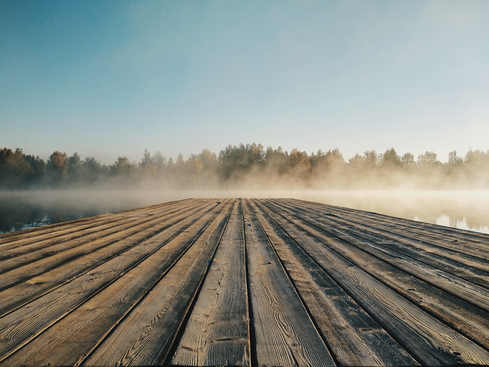 brown wooden dock near trees during daytime