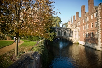 lake beside building during daytime