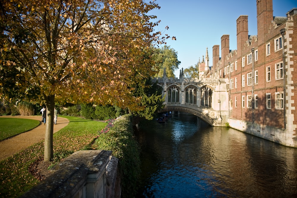 lake beside building during daytime