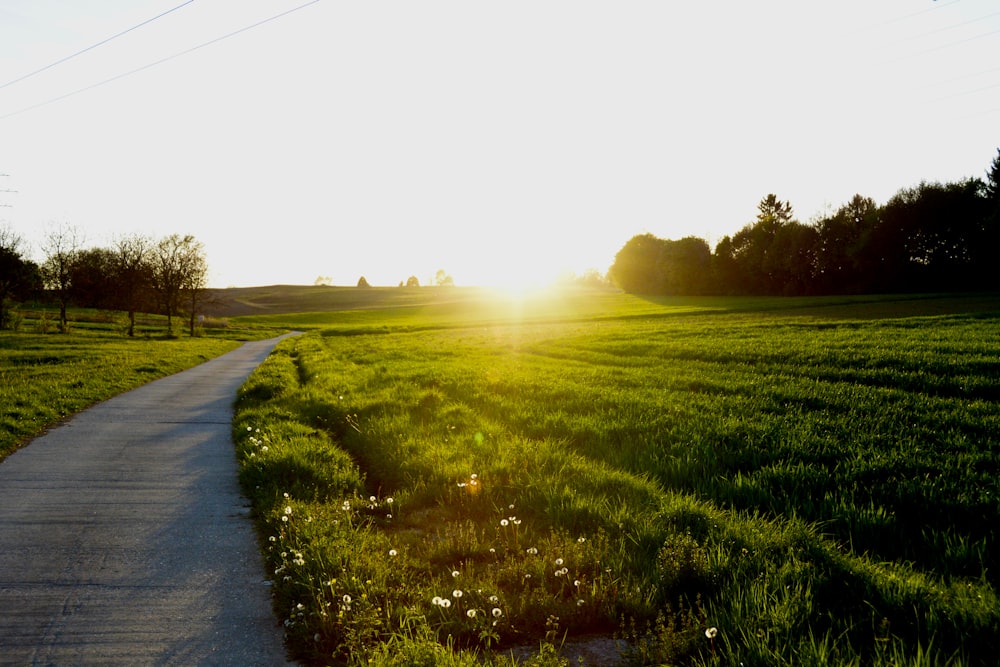 estrada cinzenta ao lado de campos de grama verde