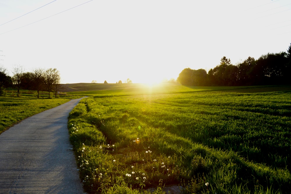 gray road beside green grass fields