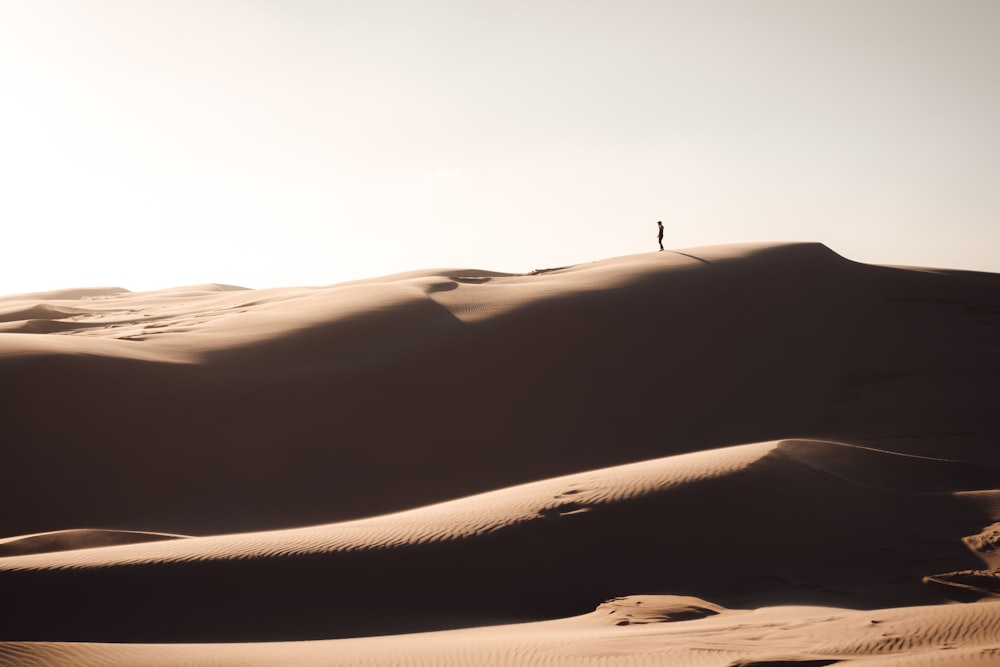 silhouette de personne debout sur le sable brun
