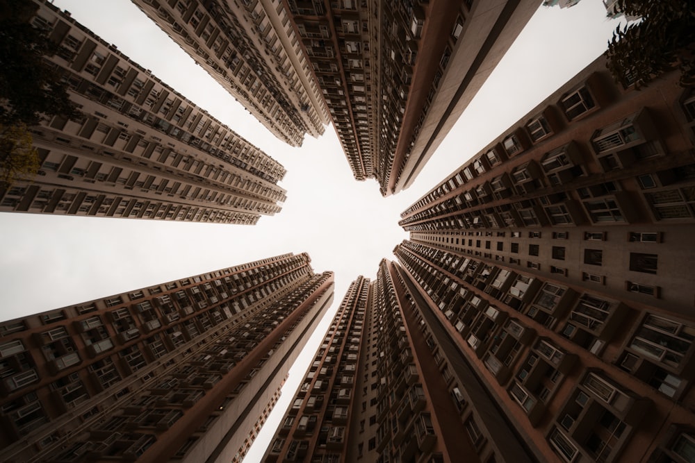 low-angle photography of high rise buildings