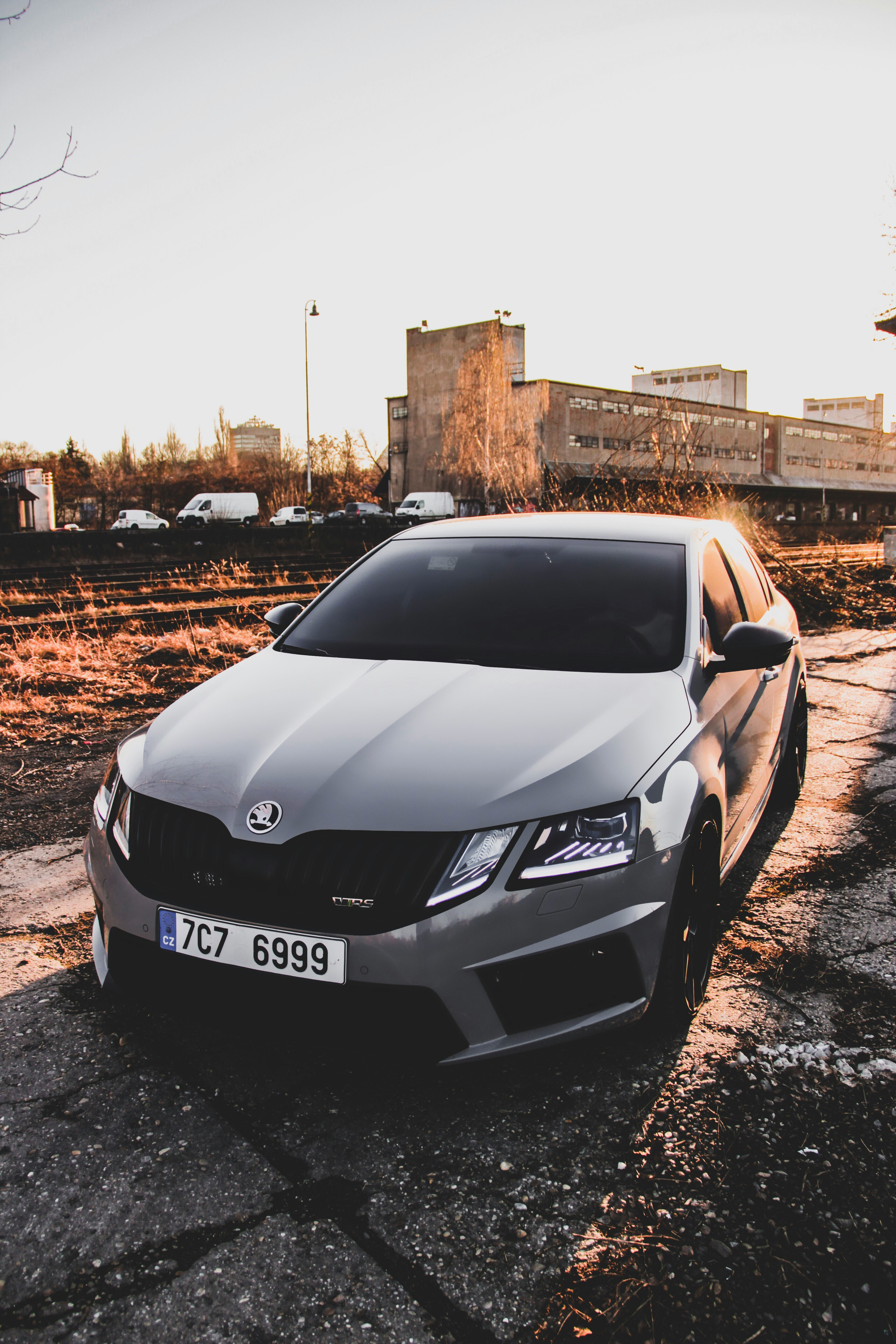 parked gray Skoda car