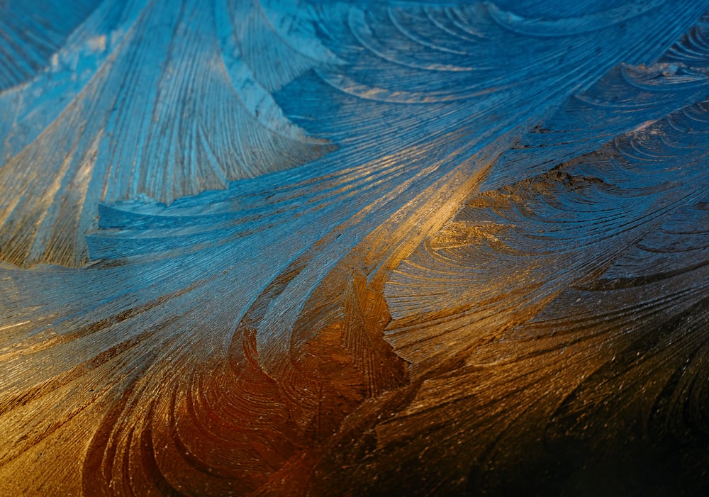 a close up of a blue and gold feather