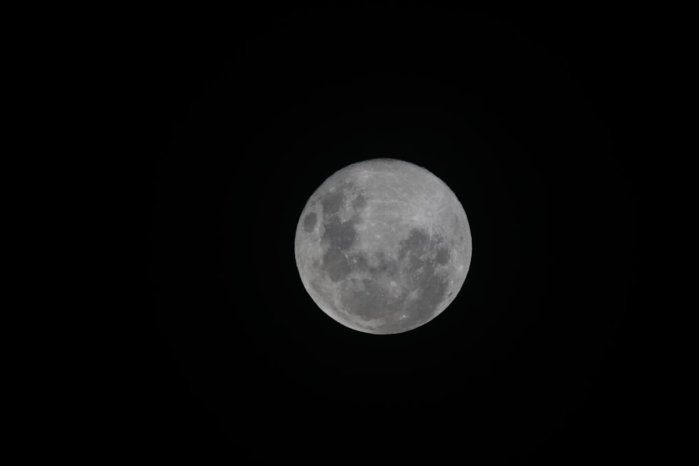 보름달의 회색조 사진