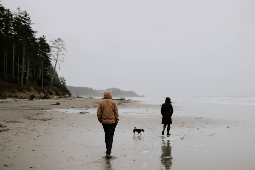 two people walking beside seashore near trees during daytime