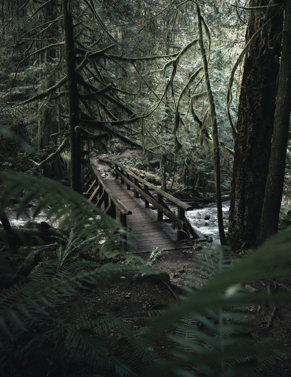 Puente de madera marrón