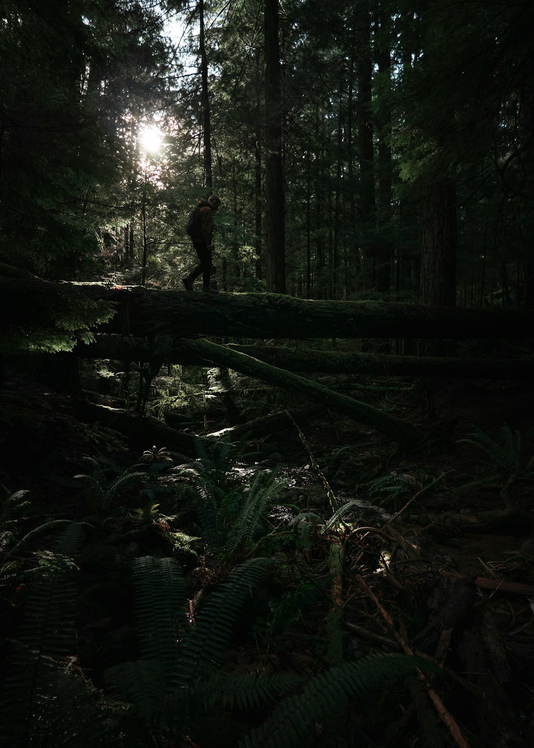 man walking on tree log