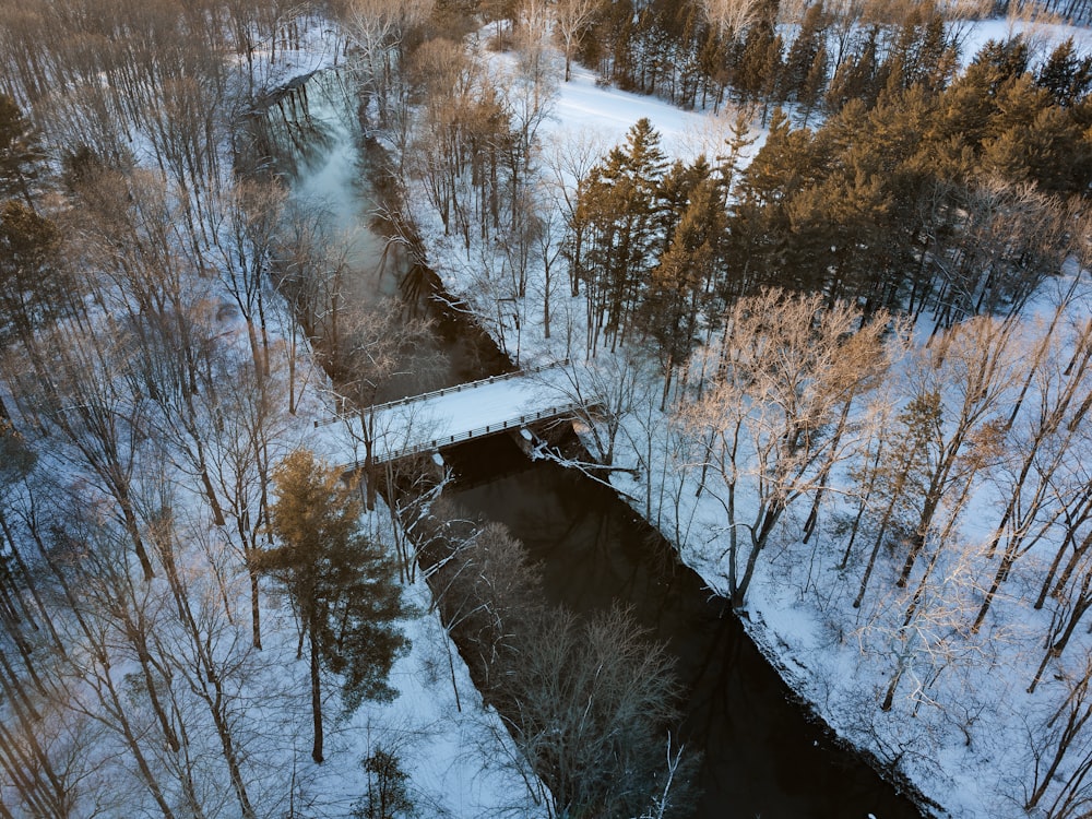 white bride surrounded by snow and trees