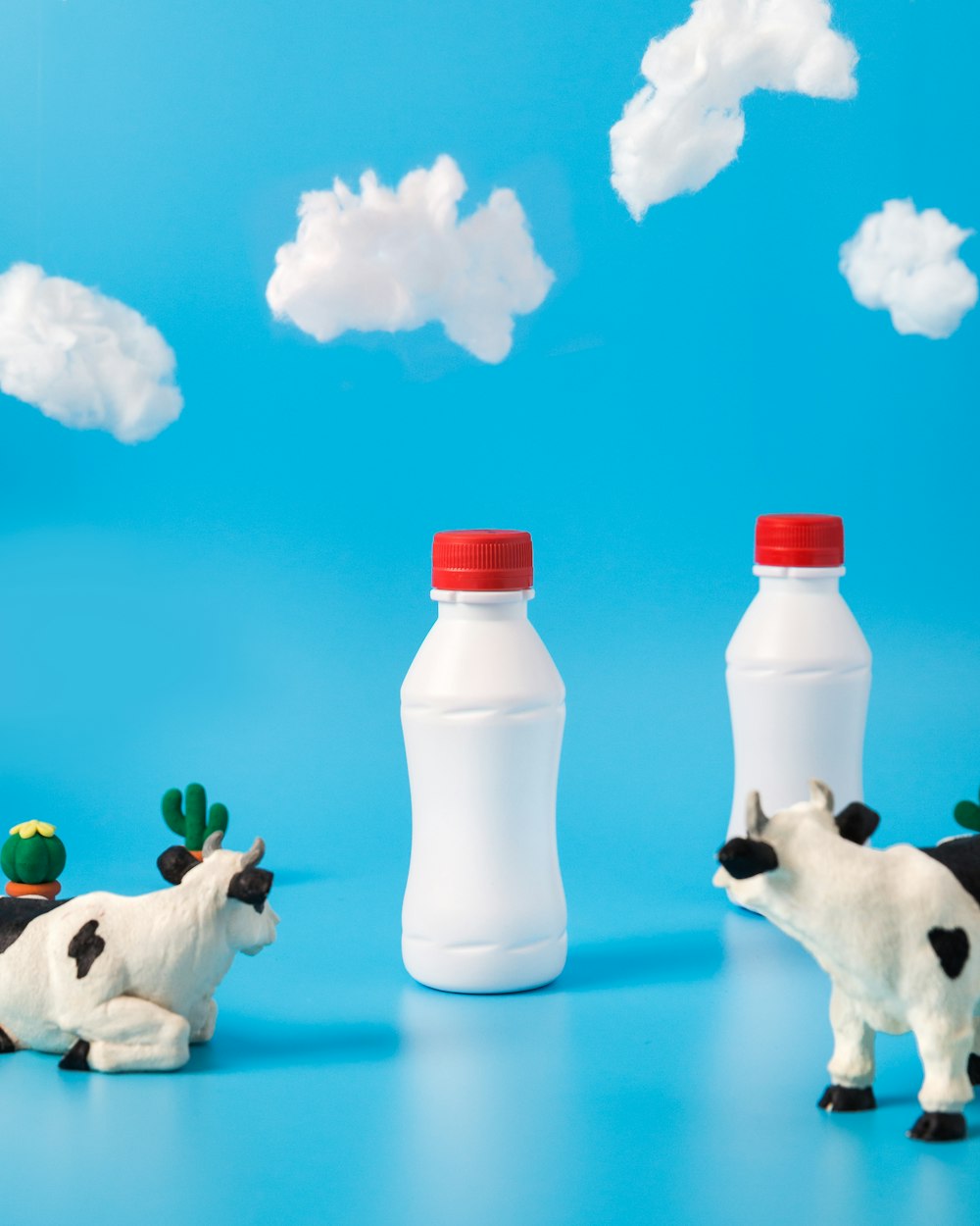 two black-and-white dairy cows looking on white bottles