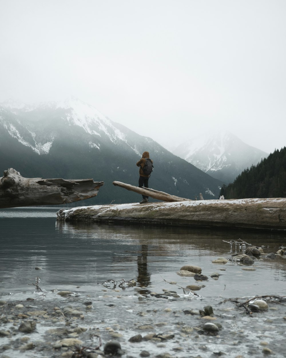 person standing on tree trunk fallen into the lake