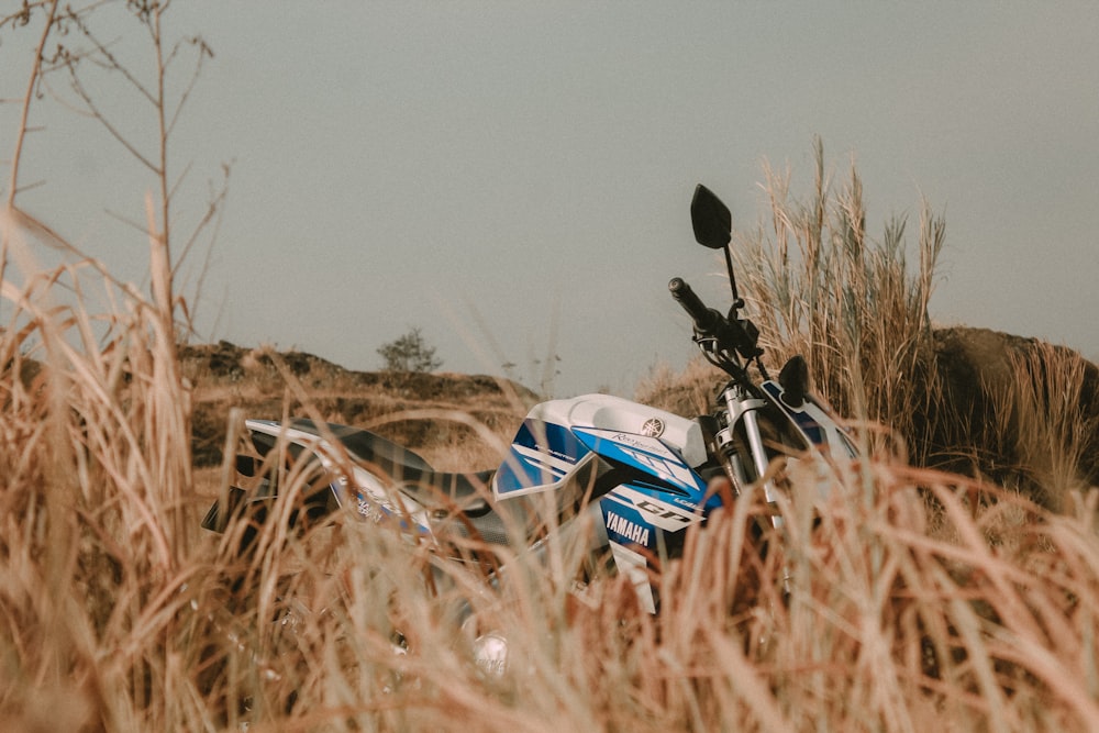 selective focus photography of blue and white Yamaha naked sports bike