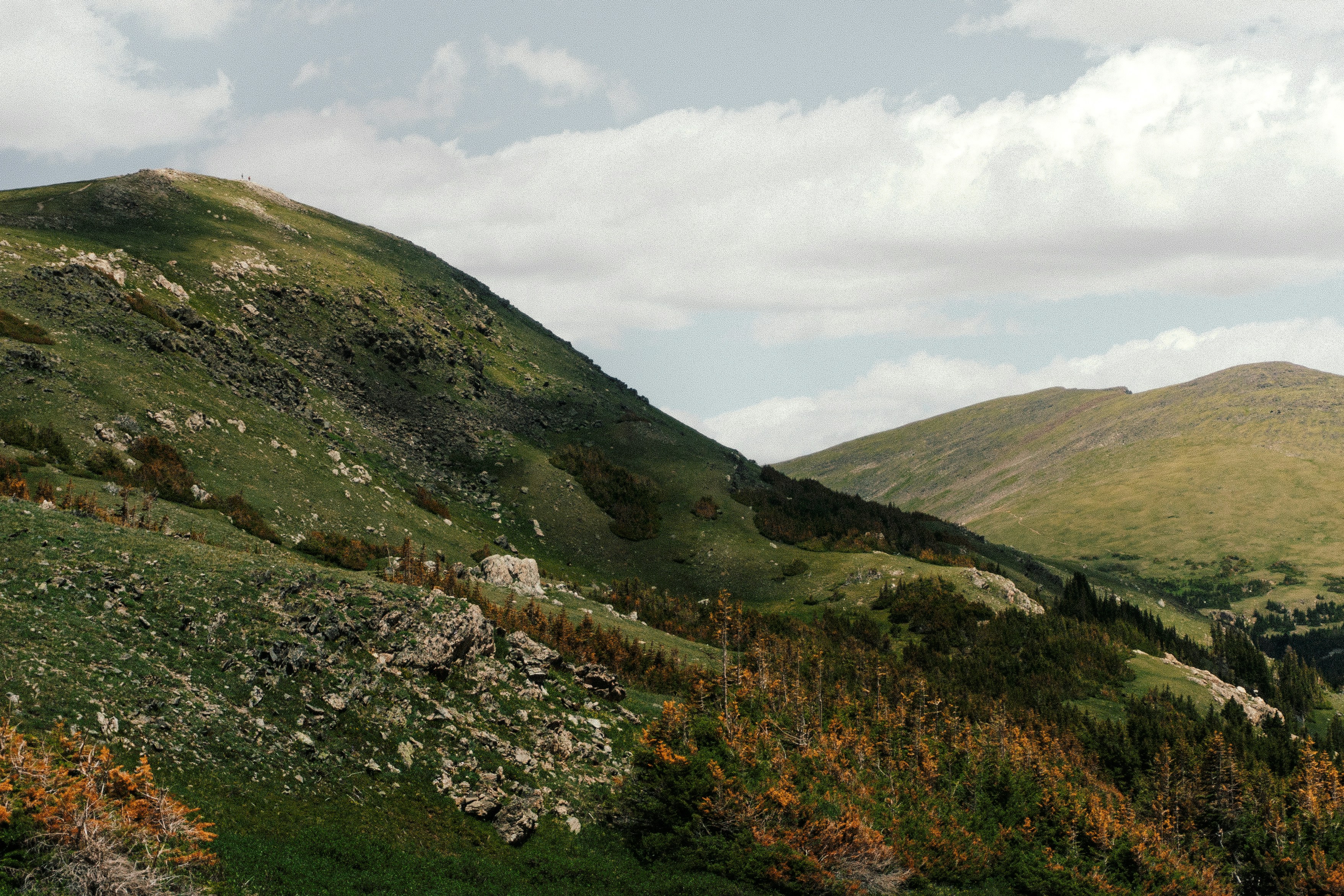 Photo by coreymoconnell1