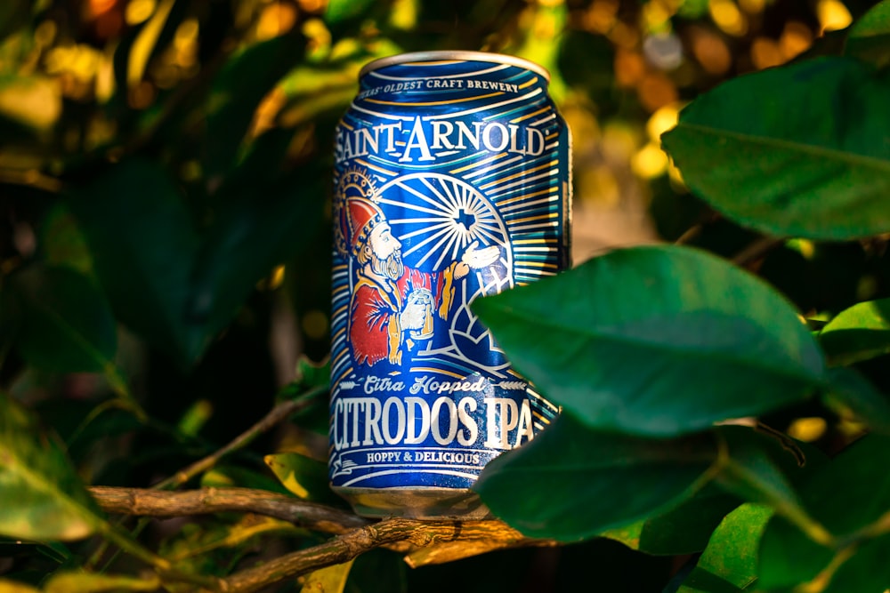 Citrodos Ipa can