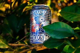 A can of Saint Arnold Citra Hopped Citrus IPA is placed among lush green leaves. The can features colorful and intricate artwork, depicting a saint holding a hop cone, surrounded by radiant patterns. The background is blurred, emphasizing the vibrant colors and design of the can.