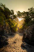 A sunlit path winding through a quiet, sandy landscape with gentle shadows.