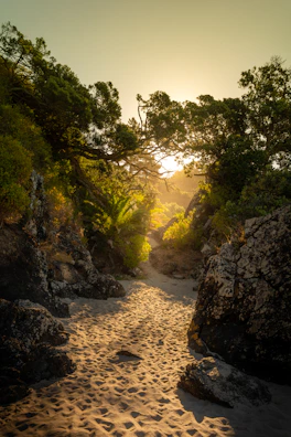 A sunlit path winding through a quiet, sandy landscape with gentle shadows.