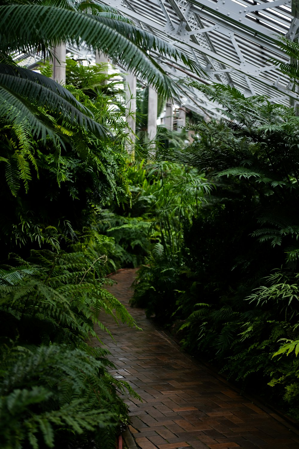 green leafed tree