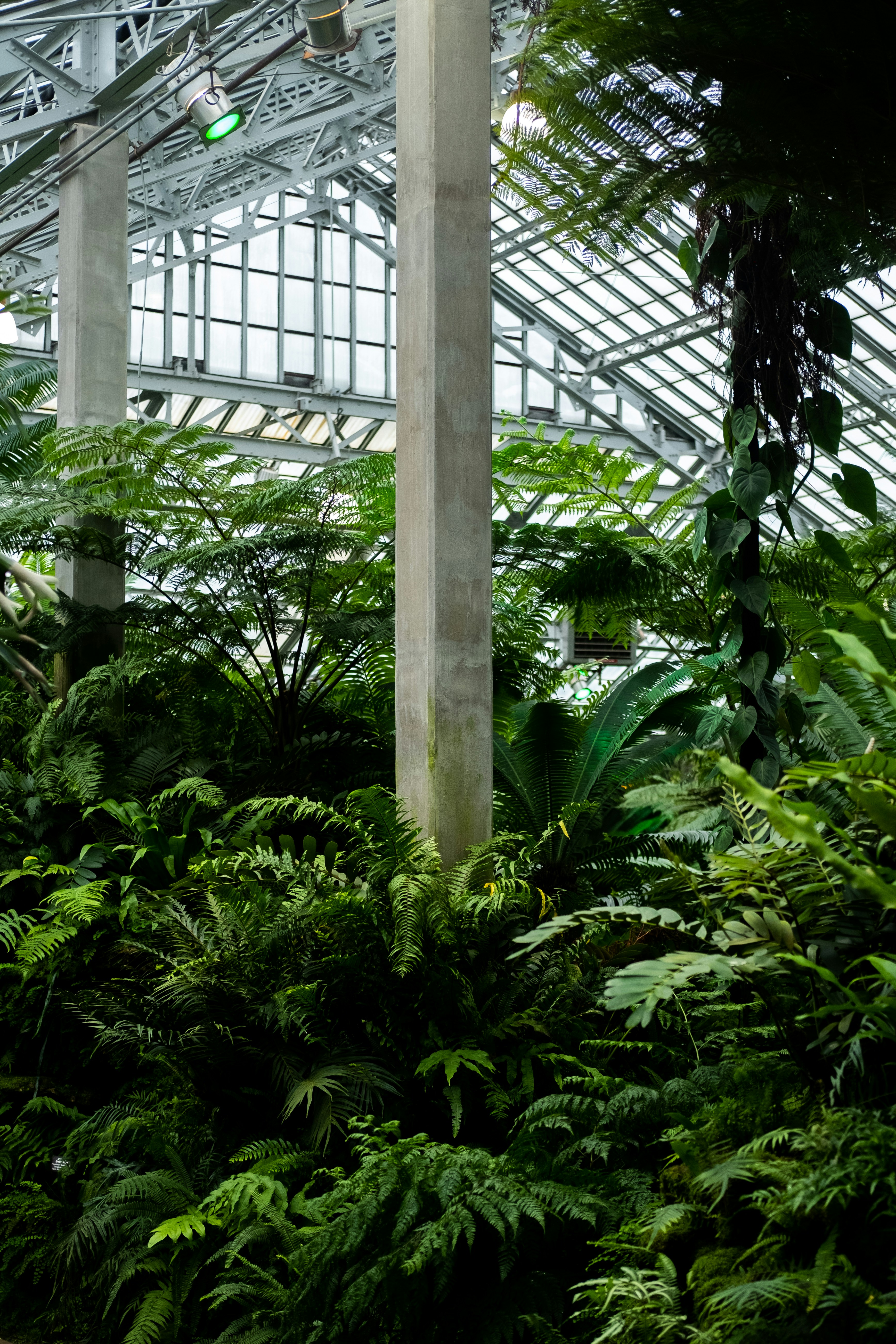 Photo by goodbetterbetts