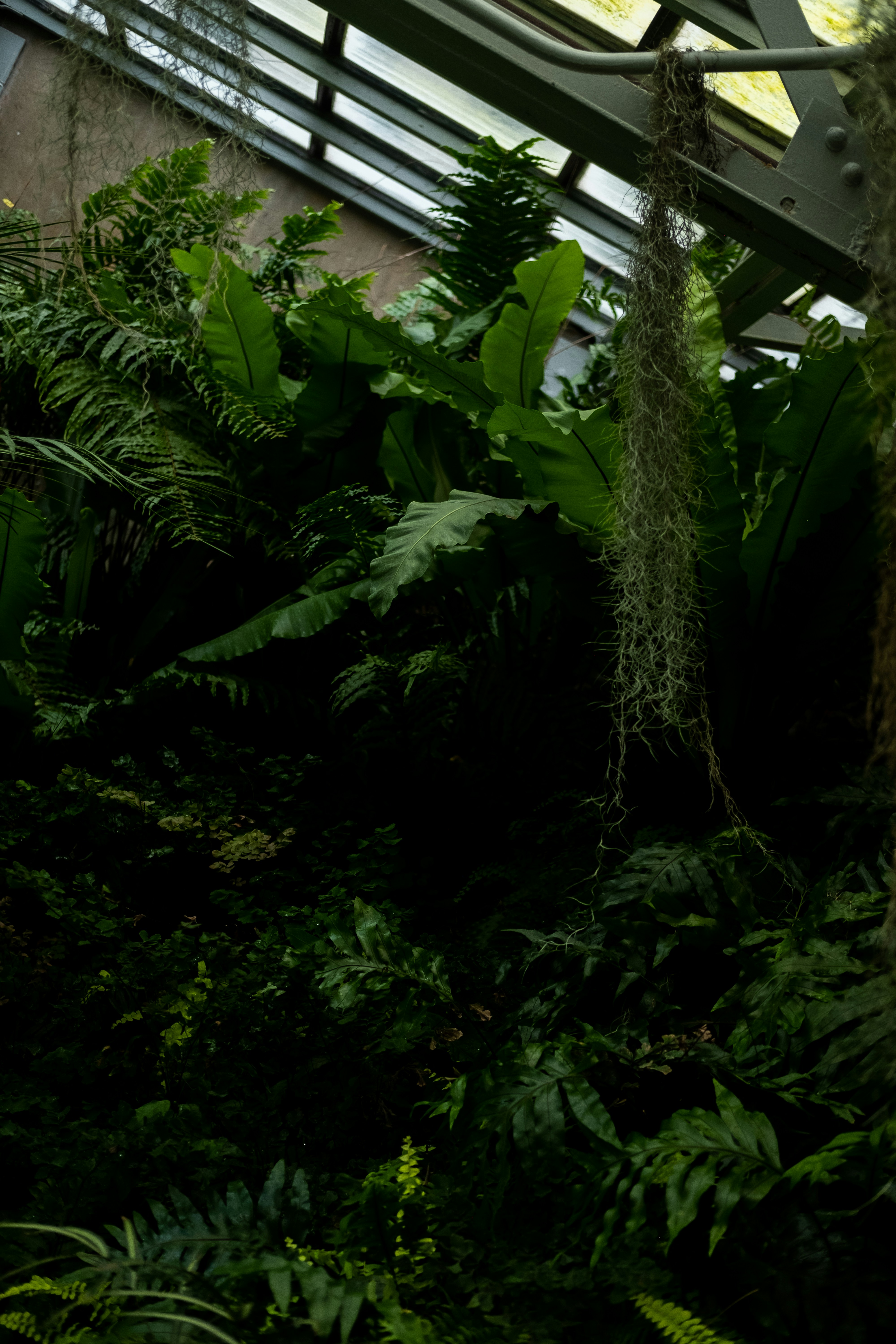 Photo by goodbetterbetts