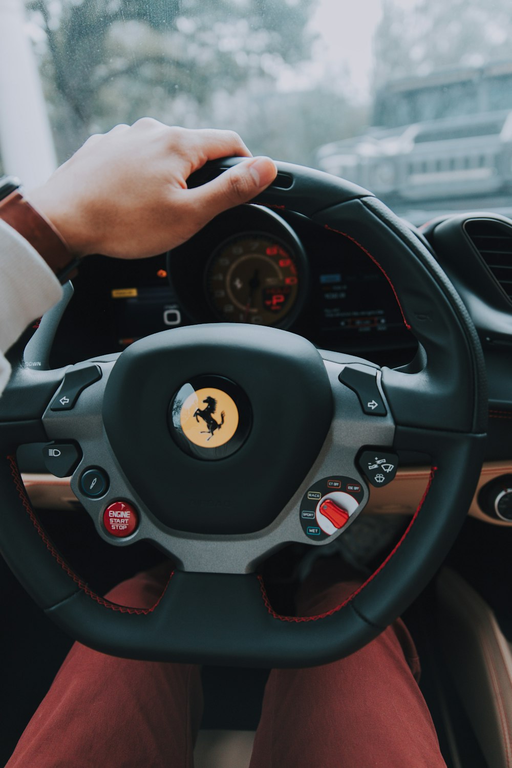 person on Ferrari multifunction steering wheel