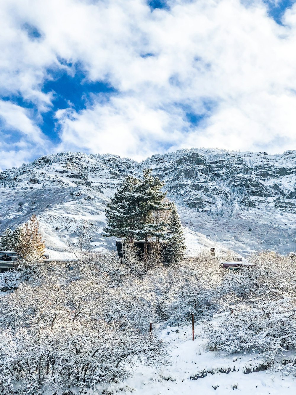 mountain range covered with snow