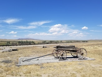 A wooden wagon loaded with logs is positioned on a gravel area in an open grassy landscape. The sky is clear with a few white clouds scattered across it. In the background, a railway track runs parallel to the horizon, with distant hills and sparse vegetation.