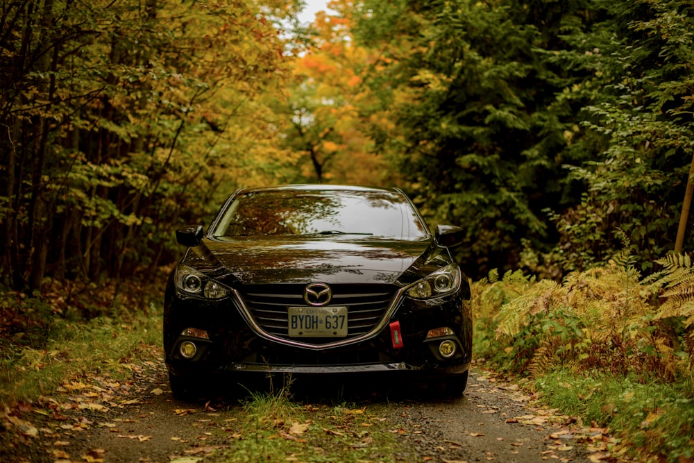 Une voiture garée sur un chemin de terre dans les bois