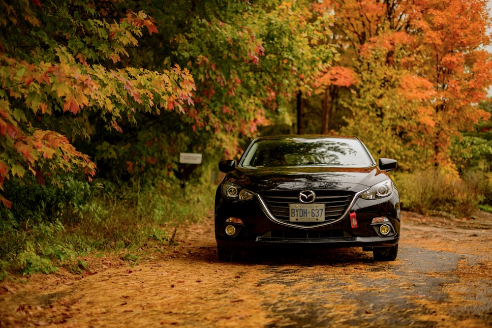 black Mazda car in forest