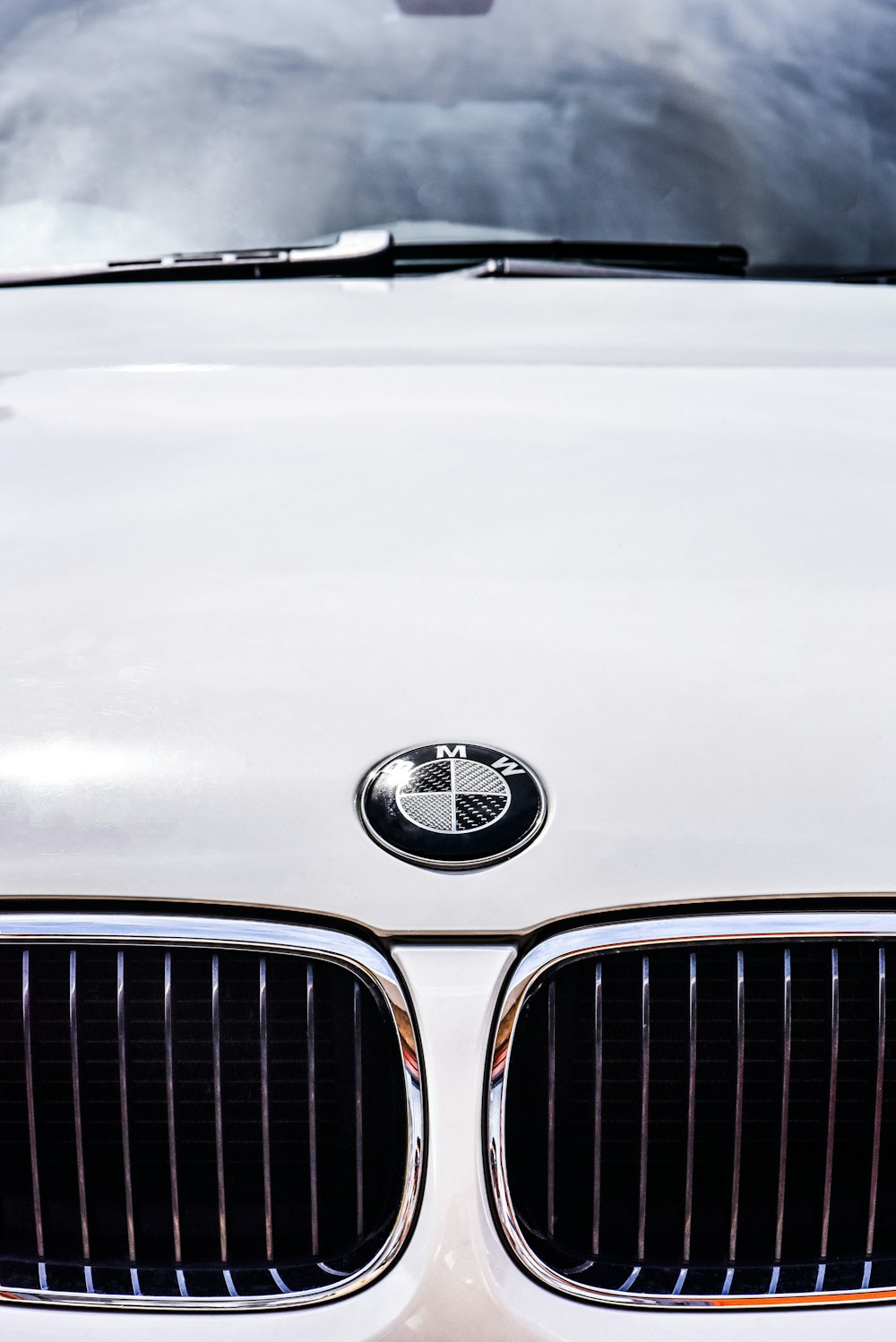 white BMW vehicle hood