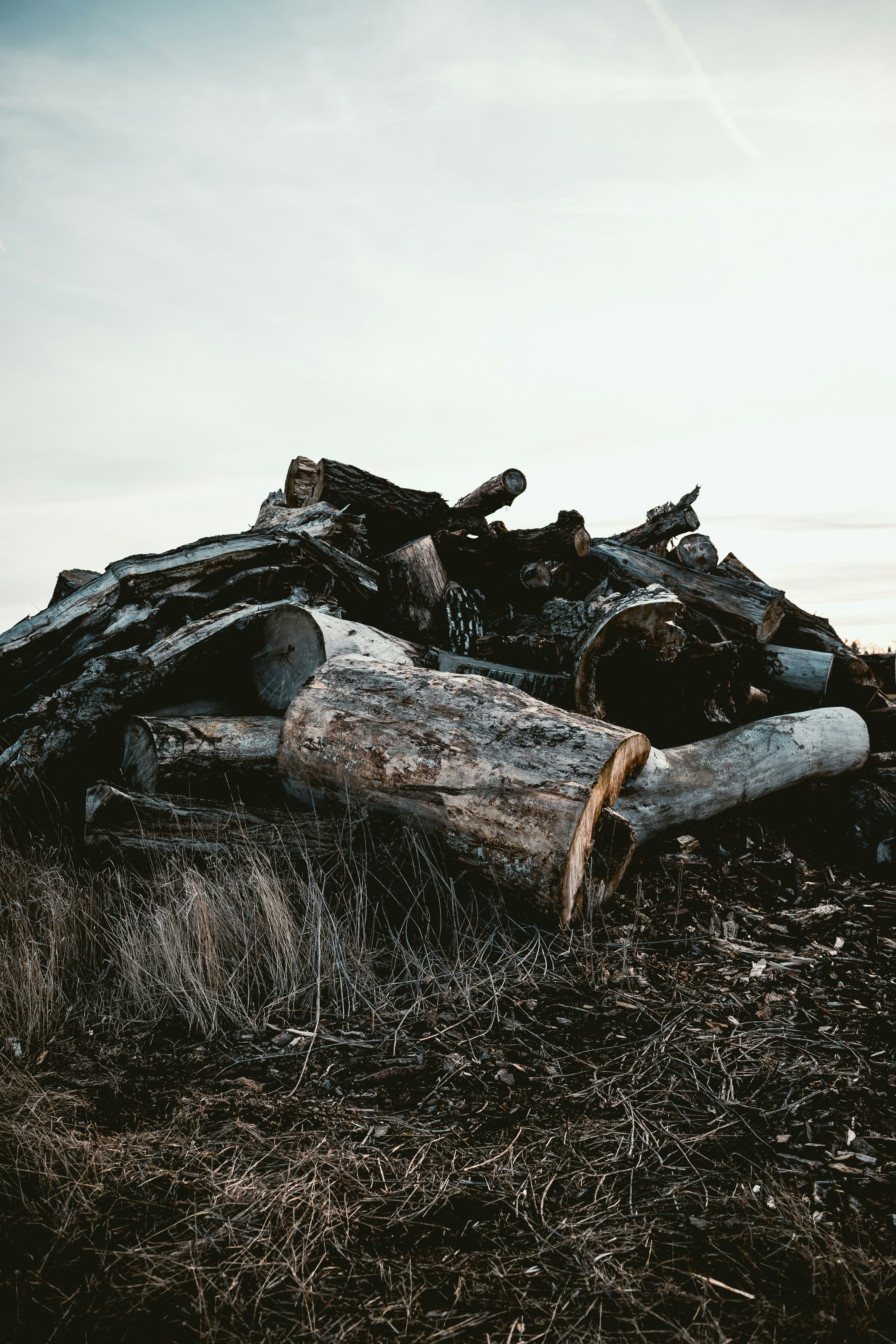 Photo by niklas_hamann