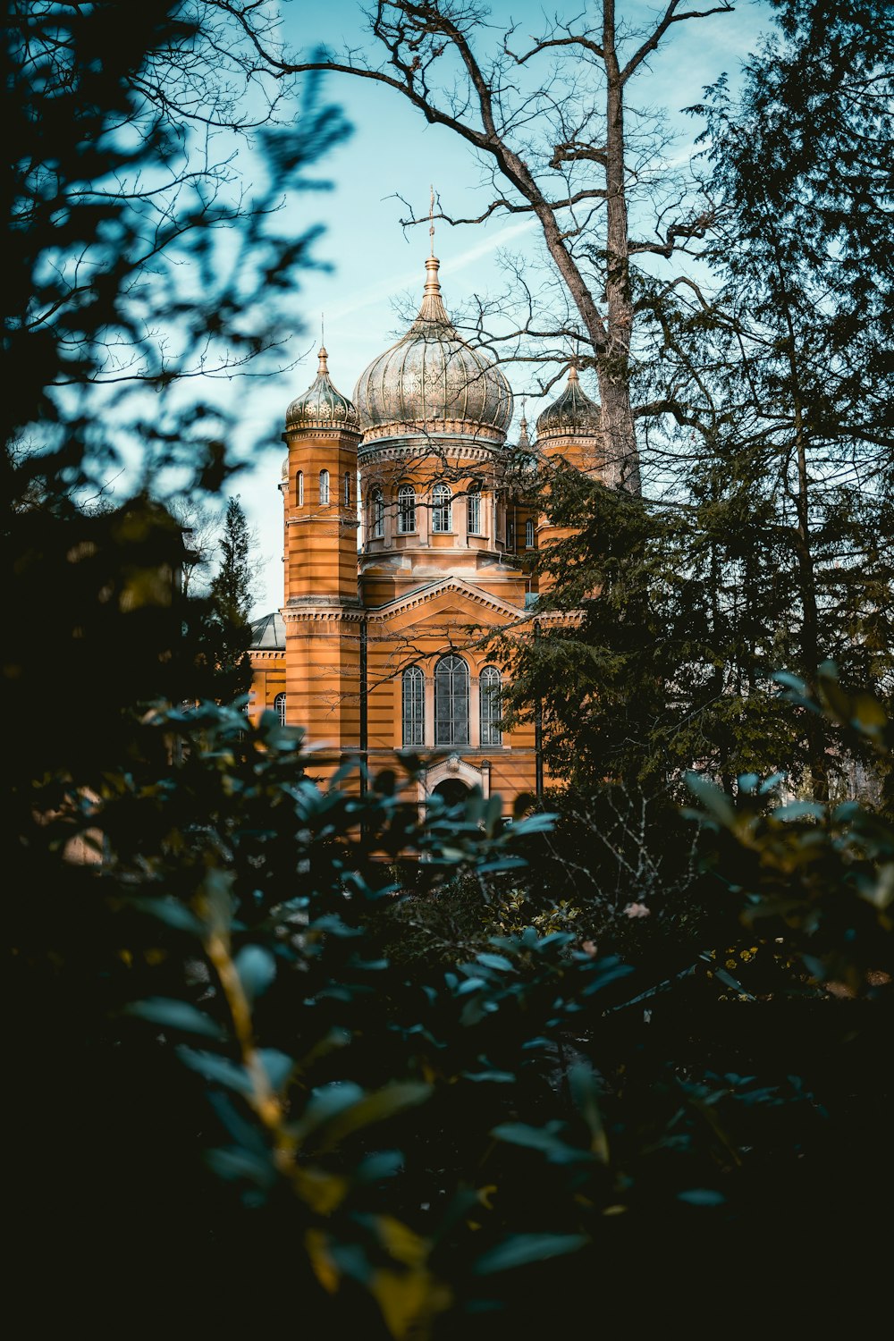 selective focus photography of cathedral