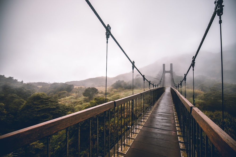 hanging bridge near forest