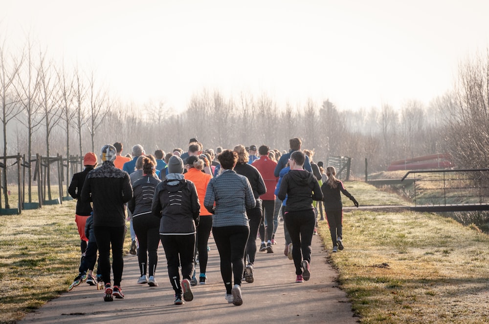 people running on concrete road beside leafless trees during daytime