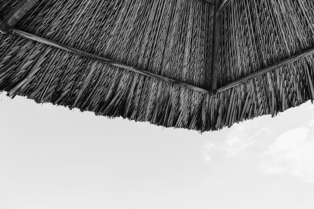 grayscale photography of roof