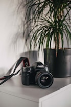 A digital camera with a lens, branded Canon, sits on a white desk. A black potted plant with long green leaves is placed beside the camera, adding a touch of nature to the setting.