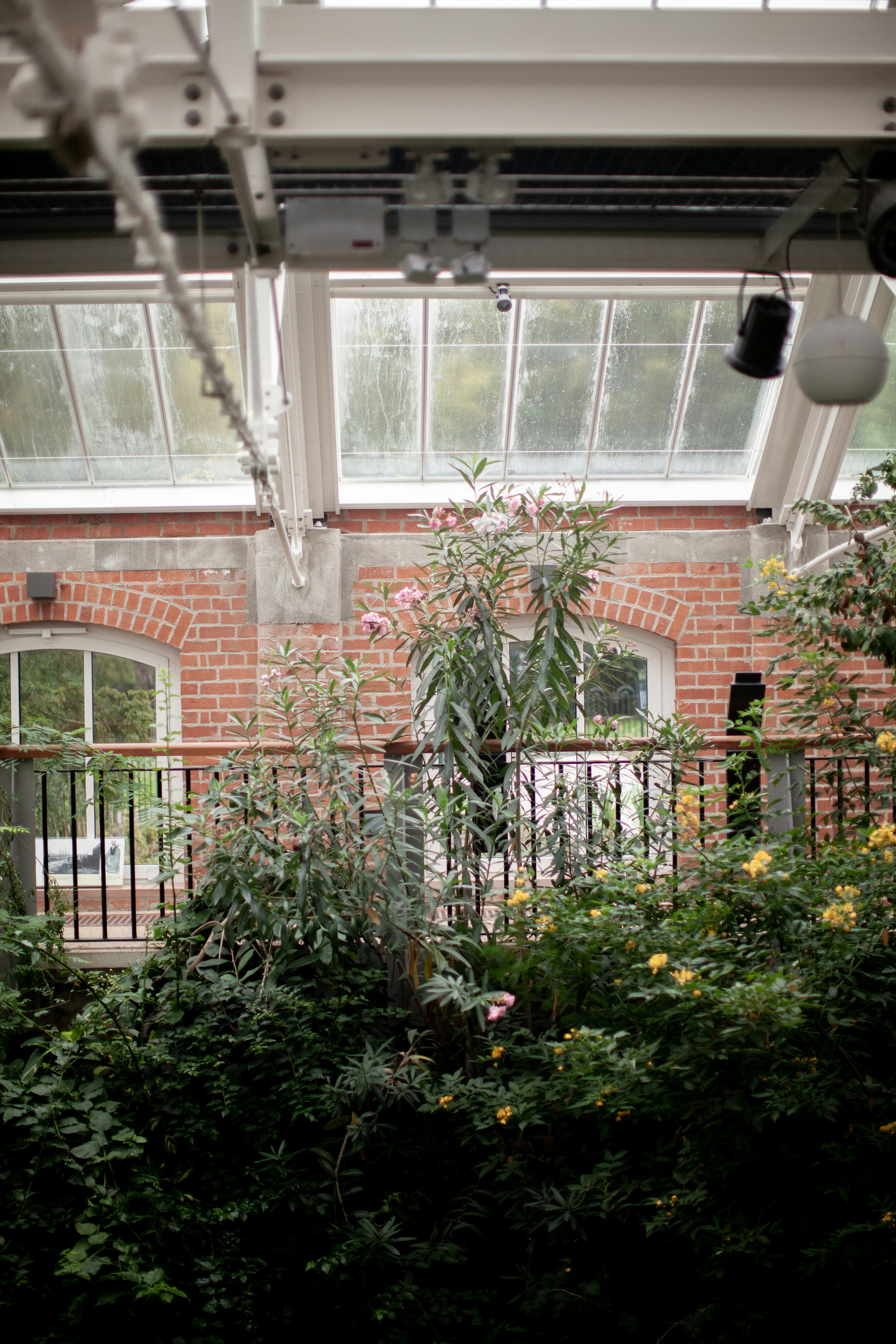 Photo by kellynbowler