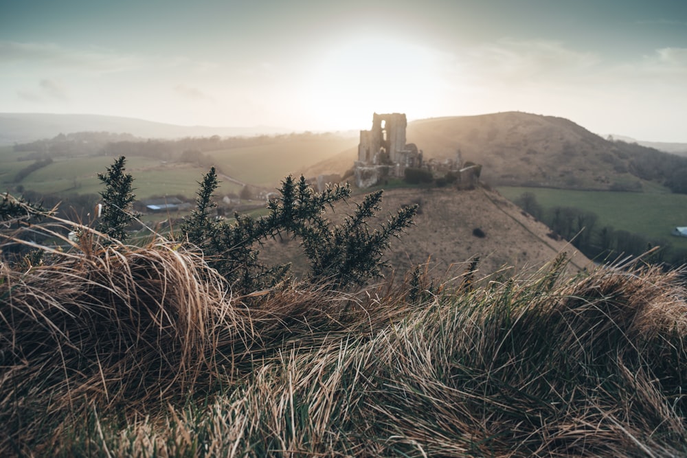 castle on hill near lake