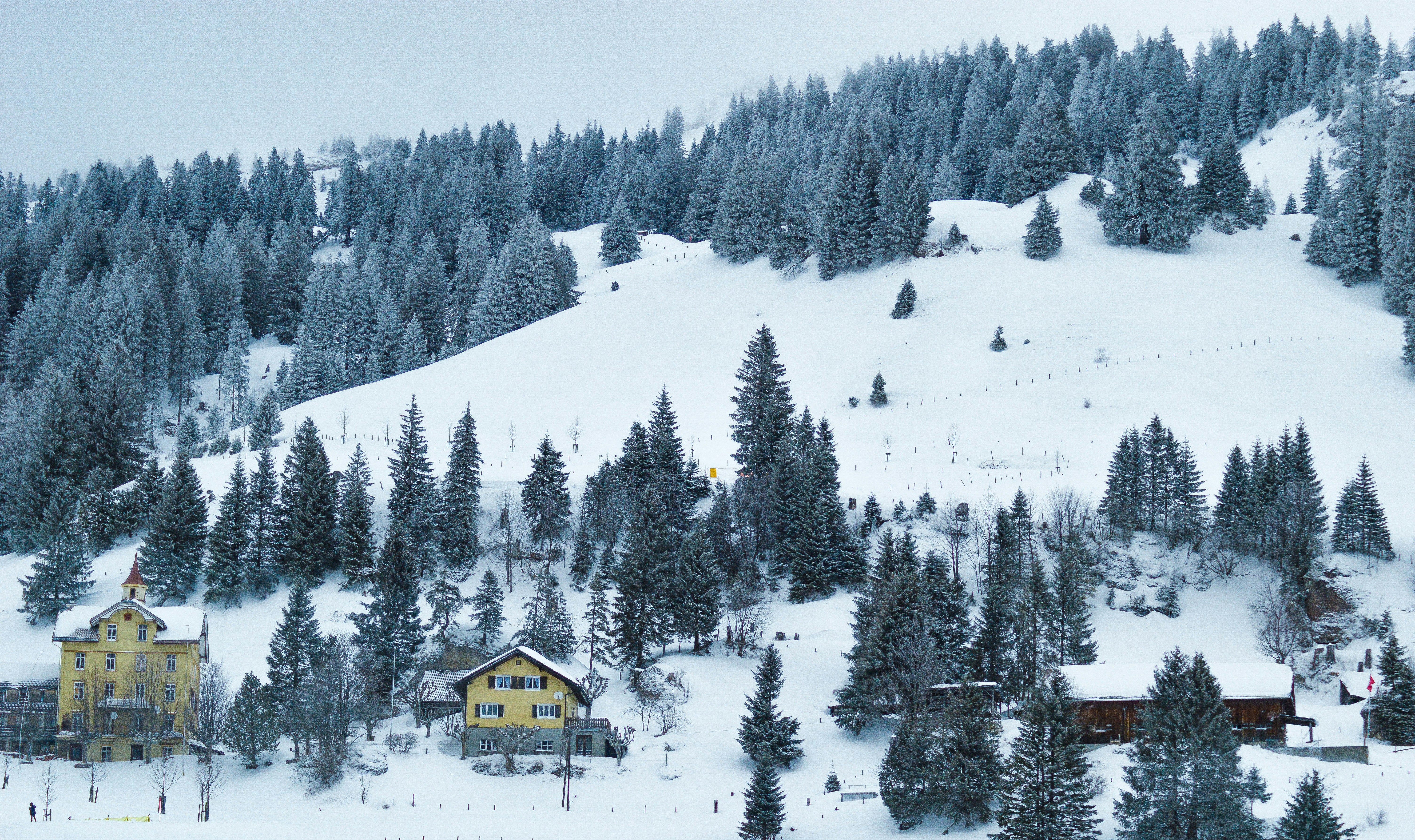 white snow covering the houses and trees on mountain slope