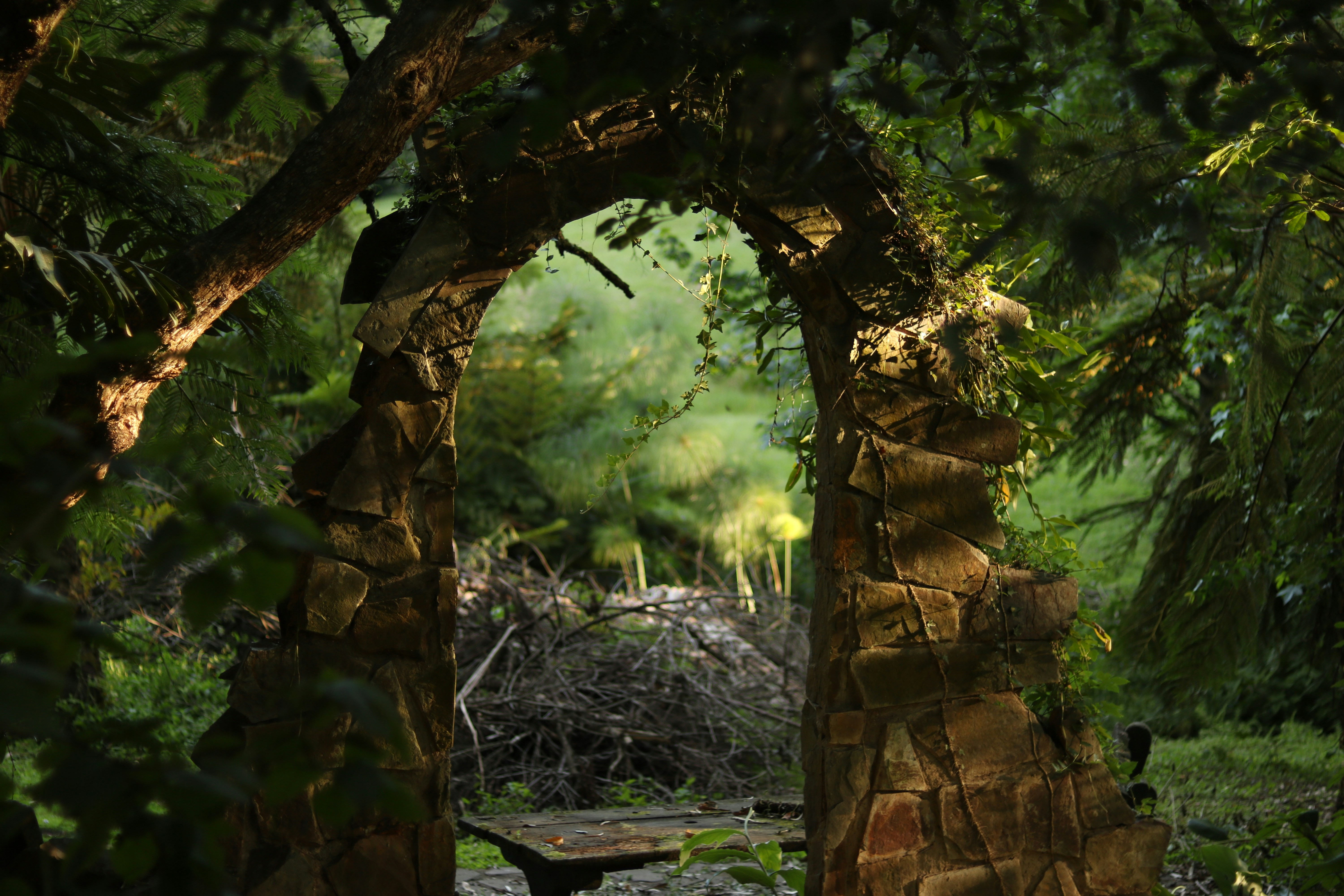 arch-shape gate in forest