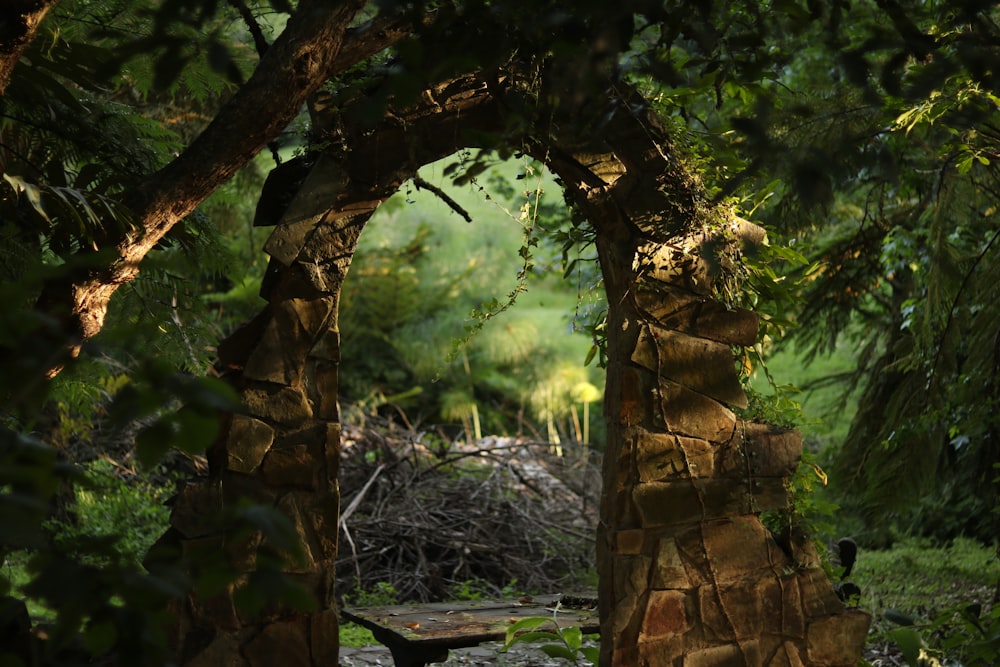 Puerta en forma de arco en el bosque