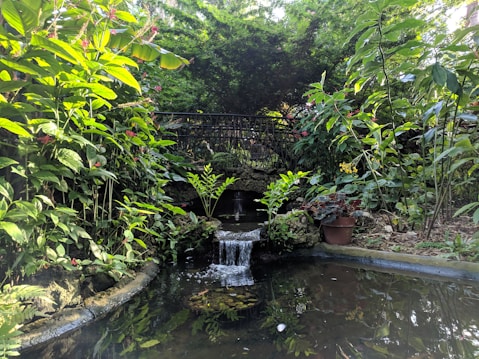 A tranquil garden setting with a small waterfall flowing into a pond surrounded by lush green foliage and colorful flowers. A black metal bridge arches over the waterfall, adding an element of structure amidst the natural scenery. Various plants and potted flowers create a vibrant, serene atmosphere.